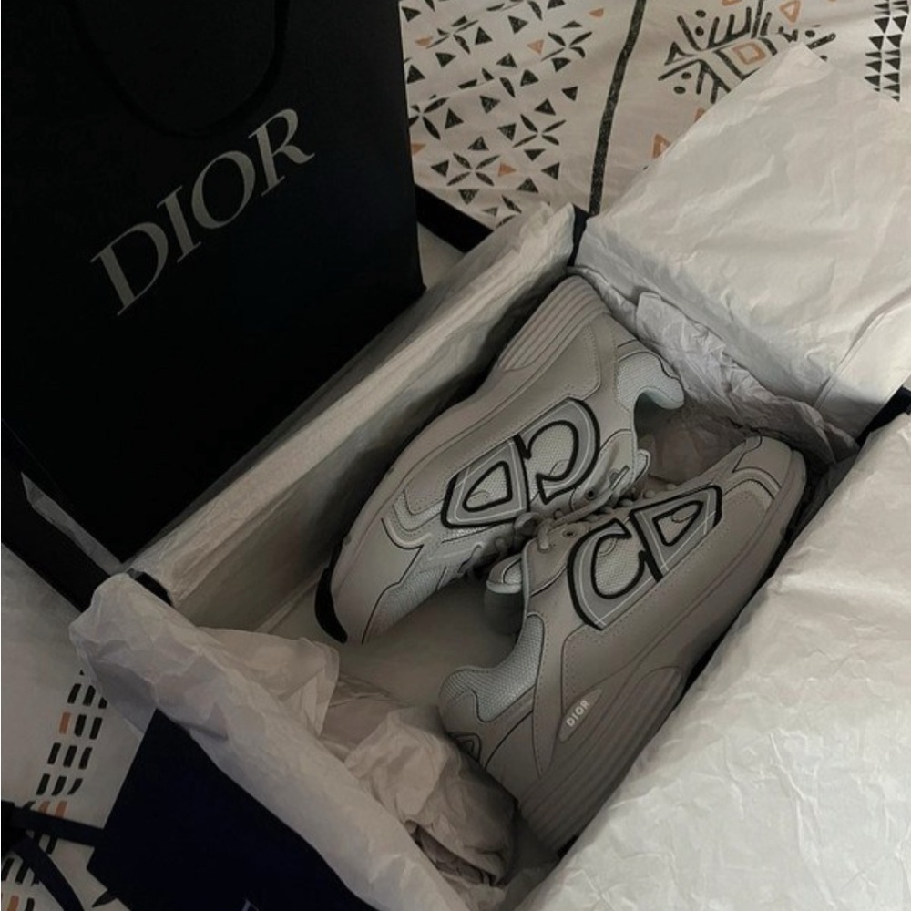 Dior Gray Low-Top Sneakers with Suede Finish